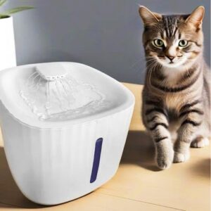 Bebedouro Fonte para Gatos